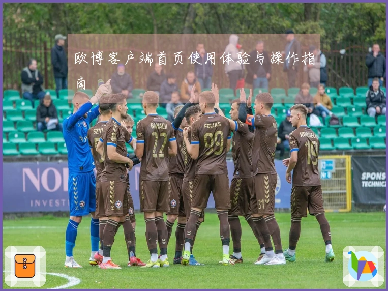 欧博客户端首页使用体验与操作指南
