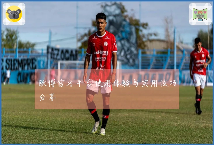 欧博官方平台使用体验与实用技巧分享