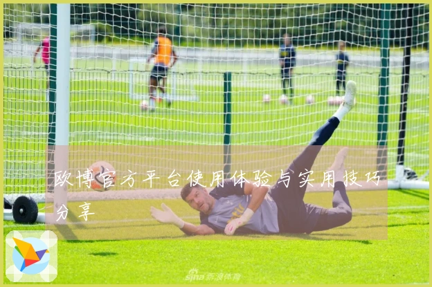 欧博官方平台使用体验与实用技巧分享