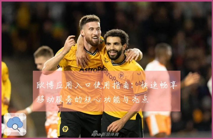 欧博应用入口使用指南：快速畅享移动服务的核心功能与亮点