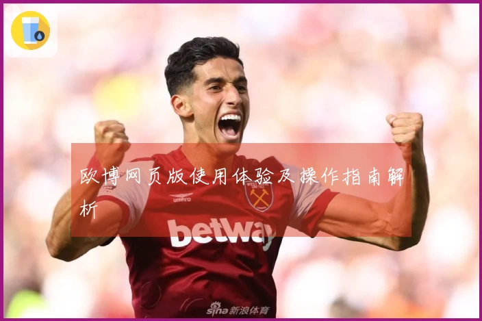 欧博网页版使用体验及操作指南解析