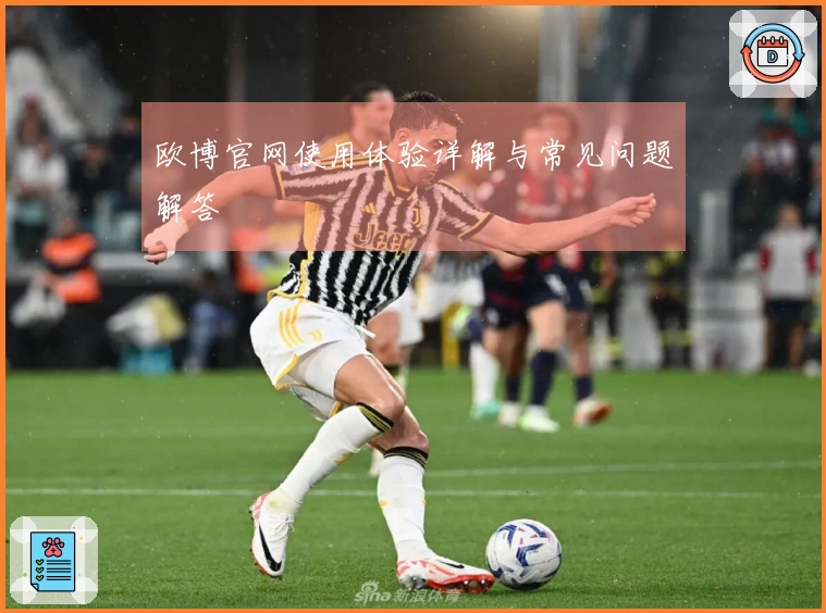 欧博官网使用体验详解与常见问题解答