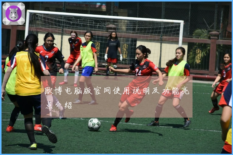 欧博电脑版官网使用说明及功能亮点介绍